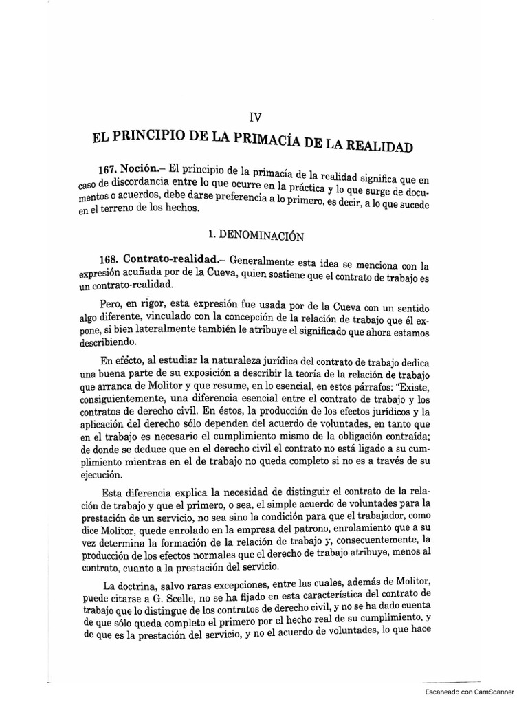 Principio de la primacia de la realidad | PDF