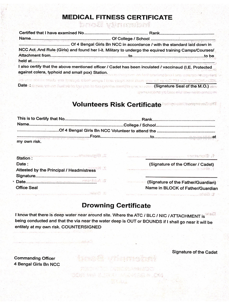 CATC Camp Form | PDF