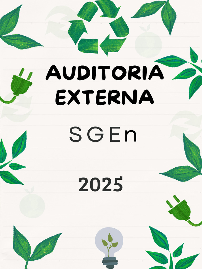 Auditoría Externa SGEn | PDF
