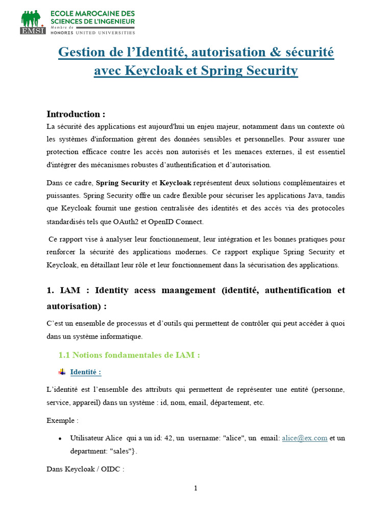 Rapport Keycloak Et Spring Security | PDF | Mot de passe | Application