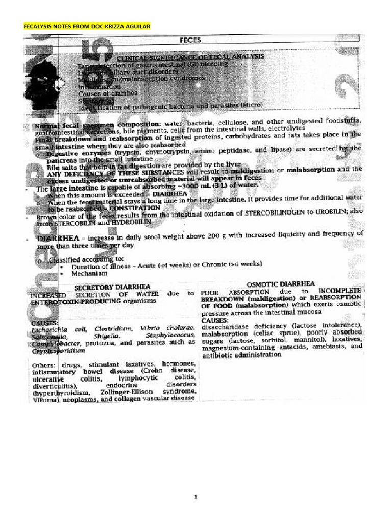 Fecalysis Notes From Doc Krizza Aguilar | PDF