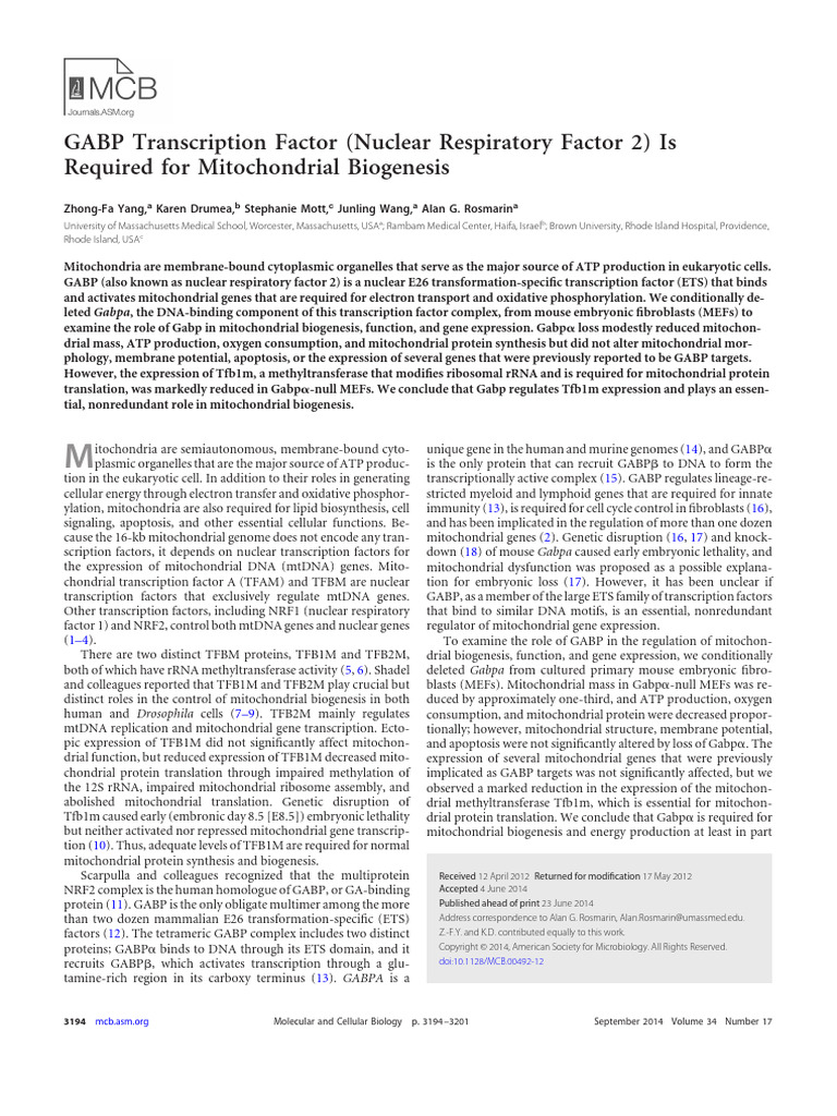 Google | PDF | Mitochondrion | Mitochondrial Dna