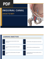 Inguinal Canal Anatomy and Boundaries | PDF