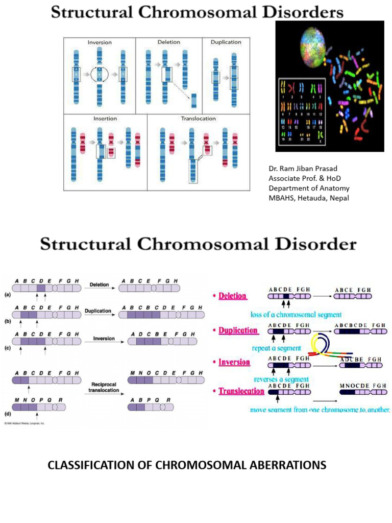 Structural Chromosomal Abnormalities | PDF | Deletion (Genetics) | Genetics