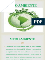 Meio Ambiente II