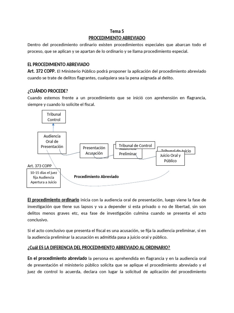 Tema 5 Y 6 PENAL | PDF | Audiencia preliminar | Fiscal