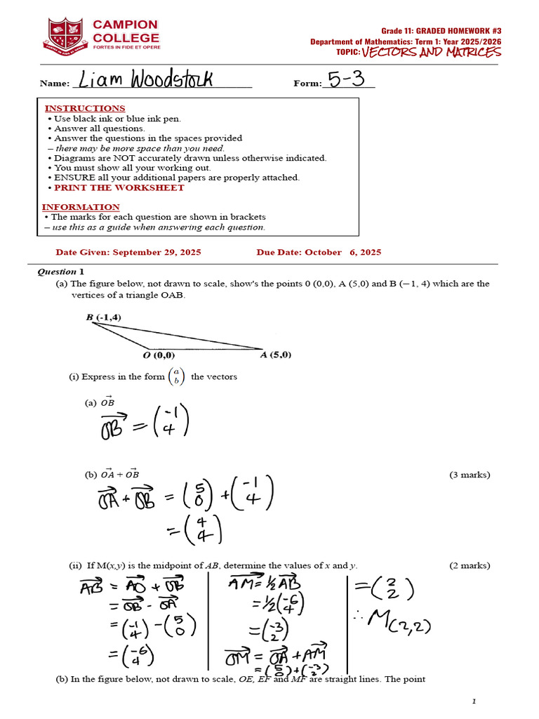 5th+Form +Homework+3 3 | PDF | Matrix (Mathematics) | Linear Algebra