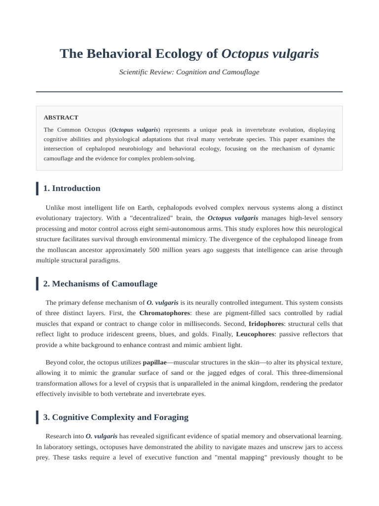 Octopus Vulgaris Research Paper | PDF | Octopus | Camouflage
