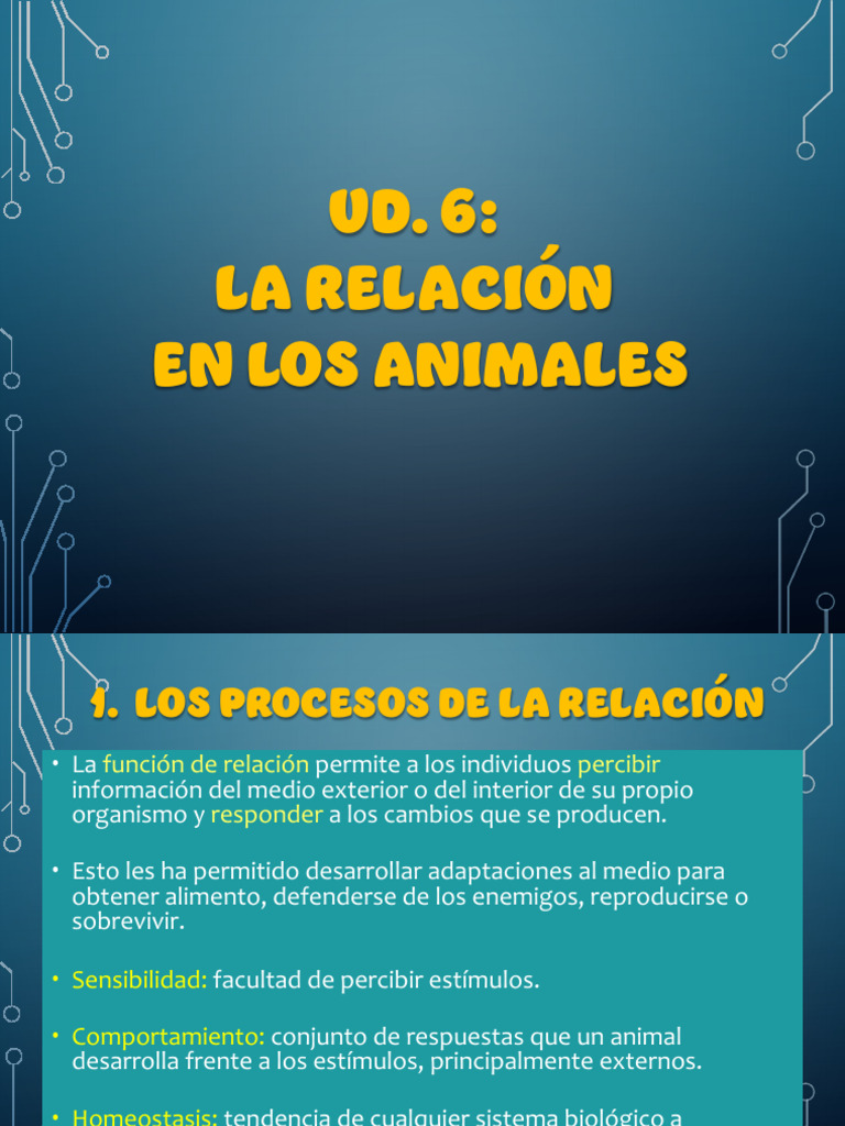LA RELACIÓN EN ANIMALES | PDF | Sistema nervioso | Sistema nervioso central