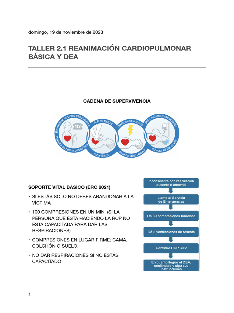 2.1 TALLER REANIMACIÓN CARDIOPULMONAR BÁSICA Y DEA | PDF | Reanimación ...