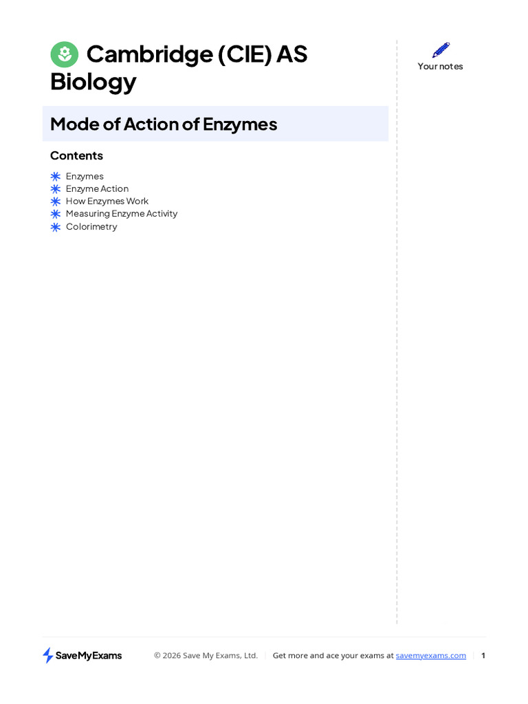 Enzymes Notes | PDF | Active Site | Enzyme