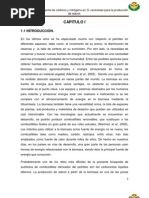 Download Saccharomyces cerevisiae by Omar Jorge Tello SN103582471 doc pdf
