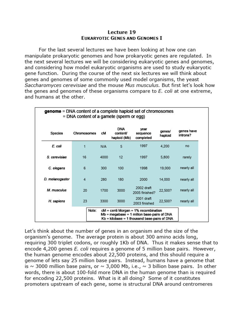 6273d5357492a4dc4687474d15e446f4_lecture19 | PDF | Genome | Gene