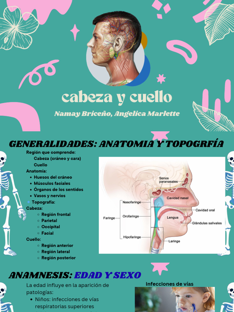 CABEA Y CUELLO | PDF | Cráneo | Lesión cerebral traumática