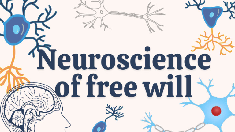 Blue Playful Human Neuron Group Project Presentation | PDF