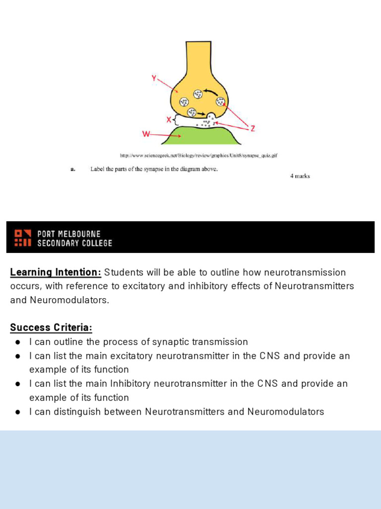 Neurotransmitters & Neuromodulators - VCE Psychology U3AOS1 KKDP2b | PDF