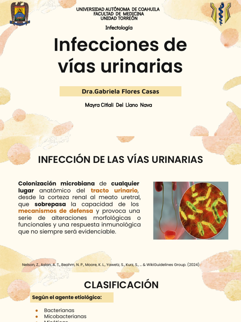 IVUs | PDF | Infección del tracto urinario | Especialidades Medicas