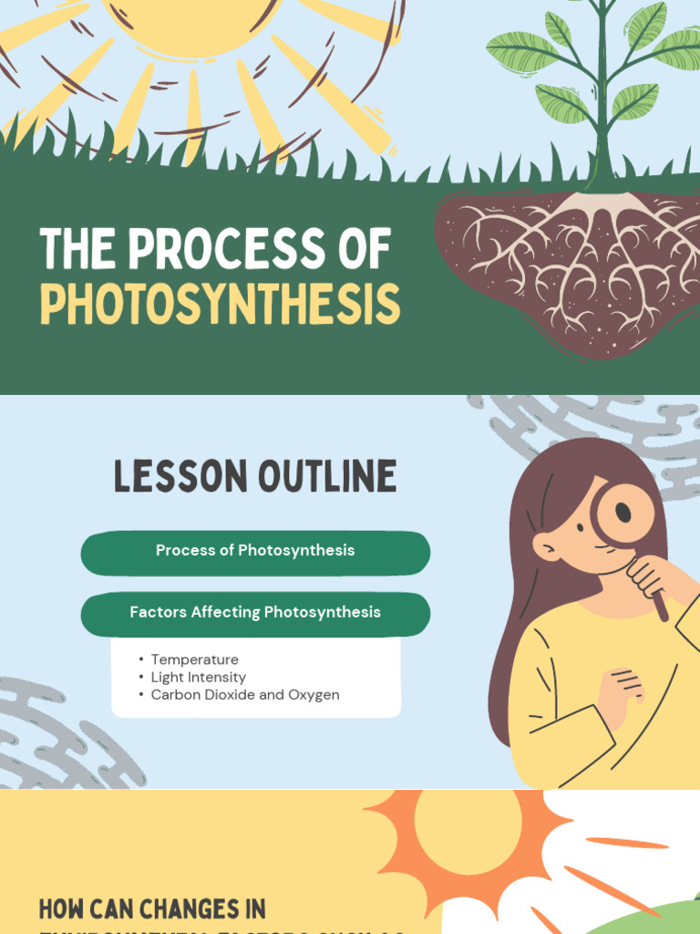 Photosynthesis 2025 Grade 11 | PDF | Photosynthesis | Chloroplast