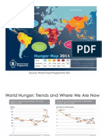 World Hunger Map