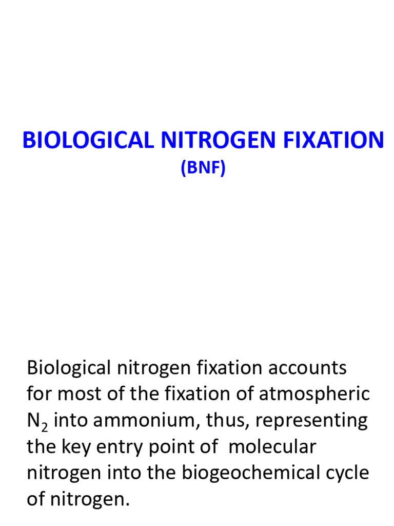 Biological Nitrogen Fixation | PDF | Transaminase | Biosynthesis