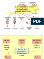 1. Sistema Endocrino - Generalidades