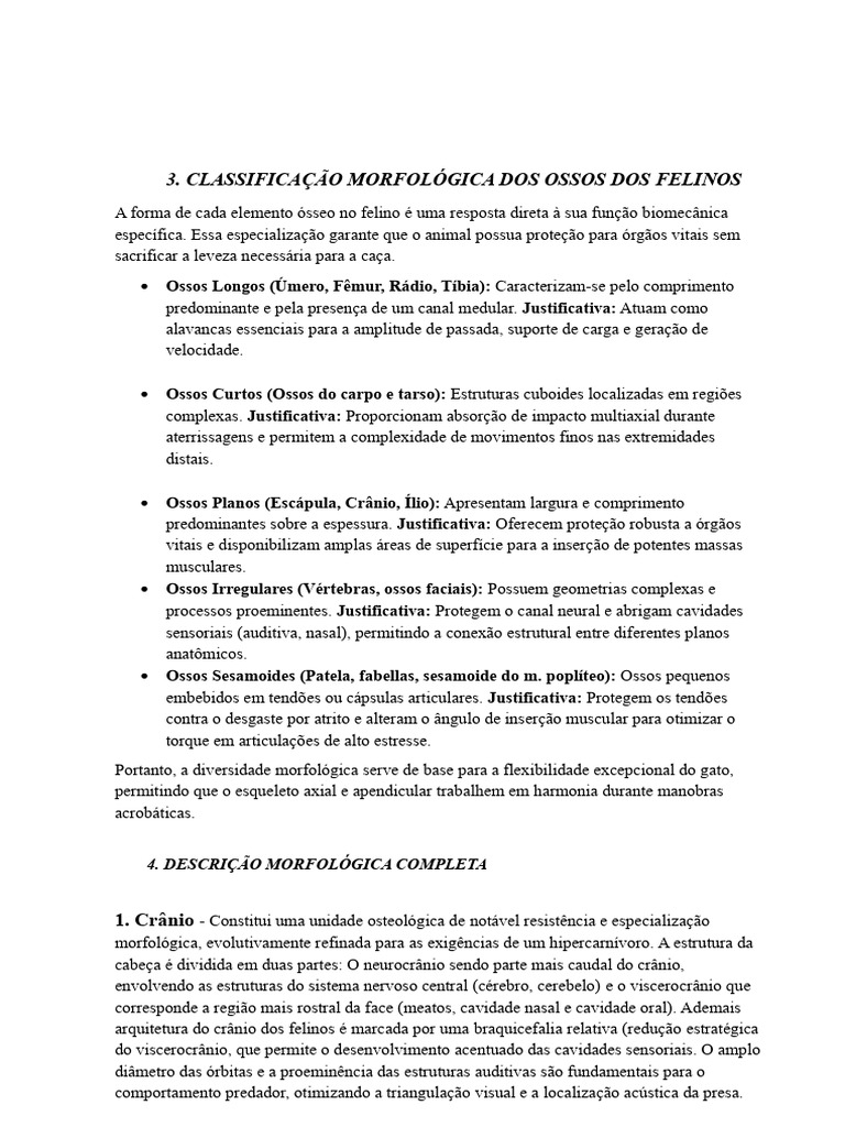 Classific Morf Dos Gatos | PDF | Vértebra | Crânio