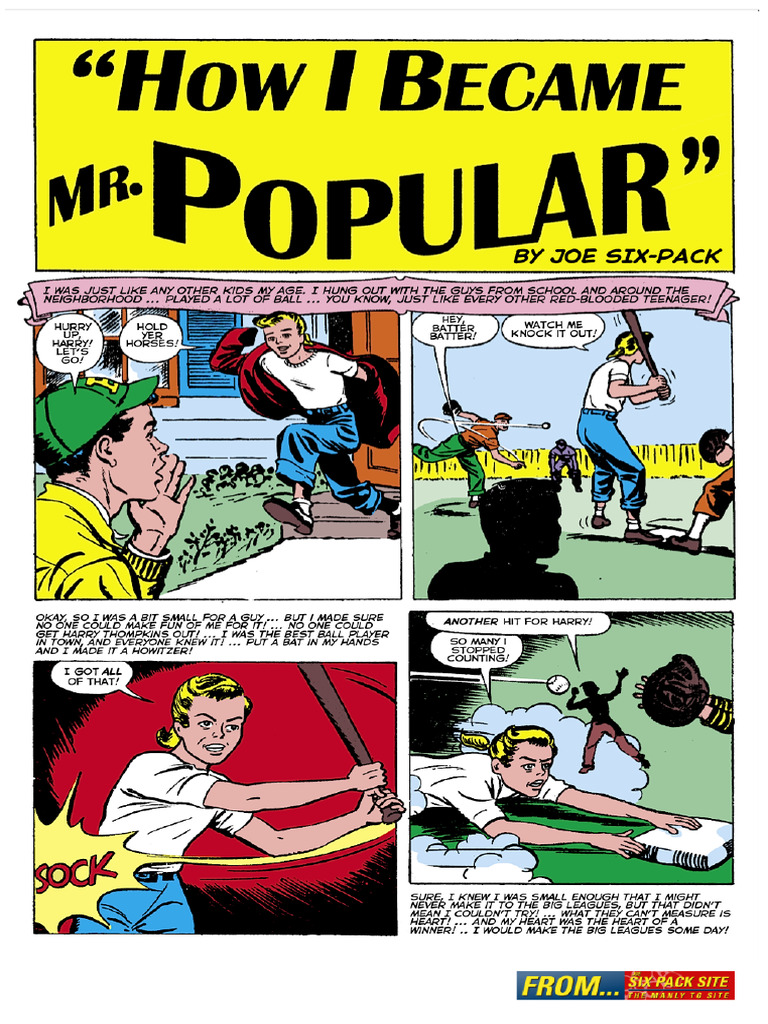 Mr Popularity | PDF