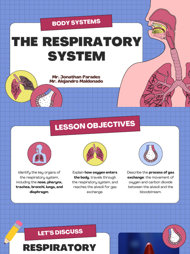 Body Systems Respiratory System | PDF | Respiratory Tract | Respiratory ...