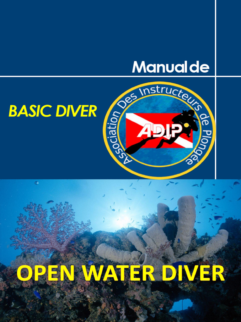 Manual Basic Diver | PDF | Mergulho submarino | Mar