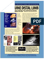 Denoix Equine Distal Limb Full PG Book Flyer