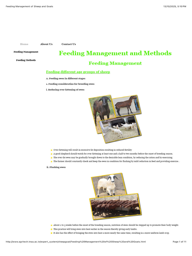 Feeding Management of Sheep and Goatsddfv | PDF | Sheep | Animal Feed