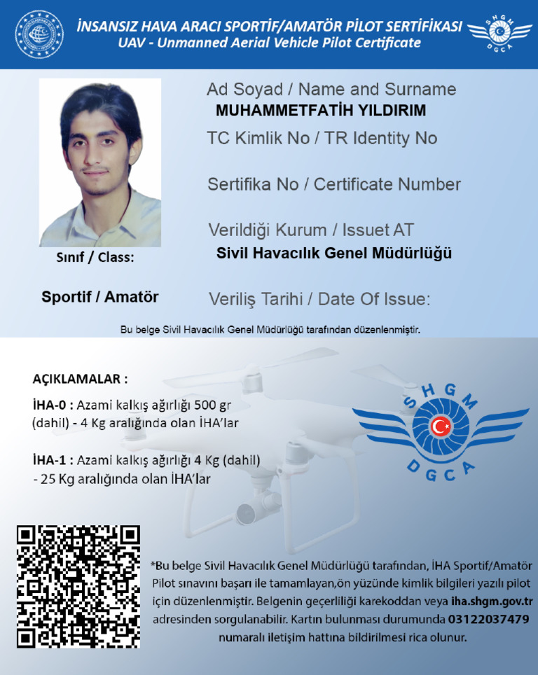 Pilot Card (12354366) | PDF