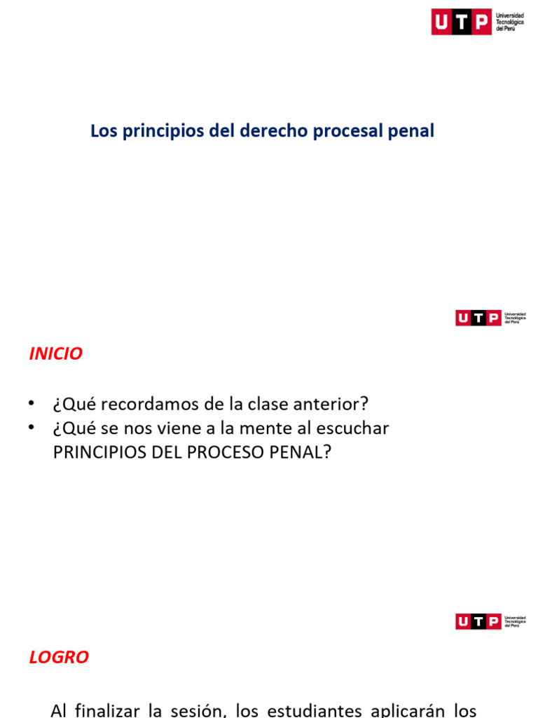 S05 - Principios Del Proceso Penal - NUEVO | PDF | Debido al proceso ...