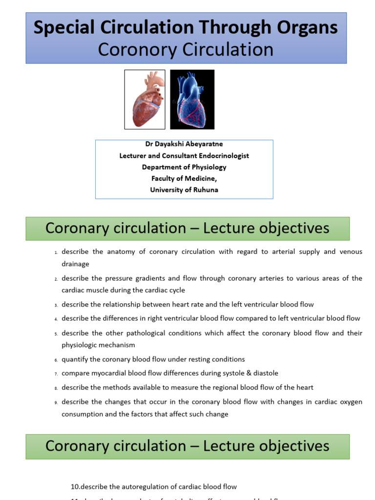 19.Coronary Circulation | PDF | Coronary Circulation | Heart