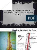 Vías de Conducción y Regiones Topográficas Del Codo