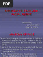 Anatomy and Structure of Lips | PDF | Lip | Human Anatomy