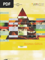 Kosmos Gehirn
