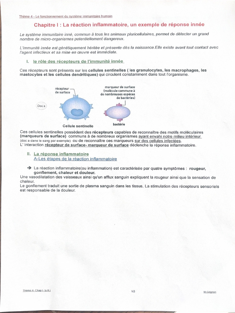 Thème 4 - Le fonctionnement du système immunitaire humain | PDF