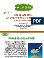 Halal Gelatin by Mohamad Yakob Bin Munshi Deen