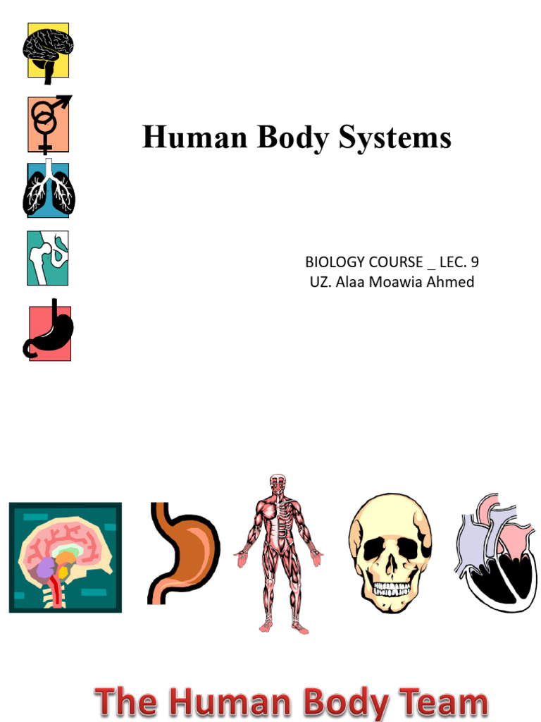 DOC-20260409-WA0046. | PDF | Human Body | Heart