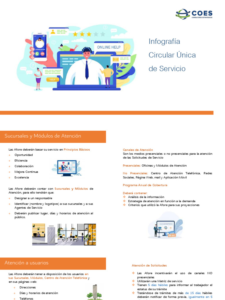 Infografia Circular de Servicio | PDF | Infografia | Informática