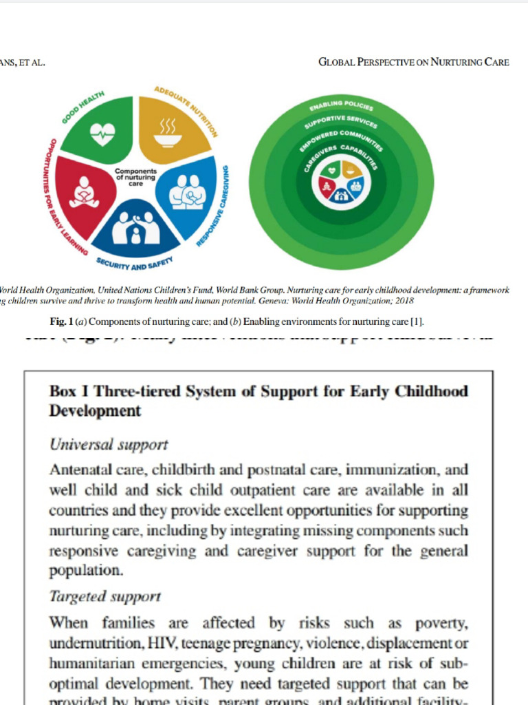 Nurturing Care | PDF