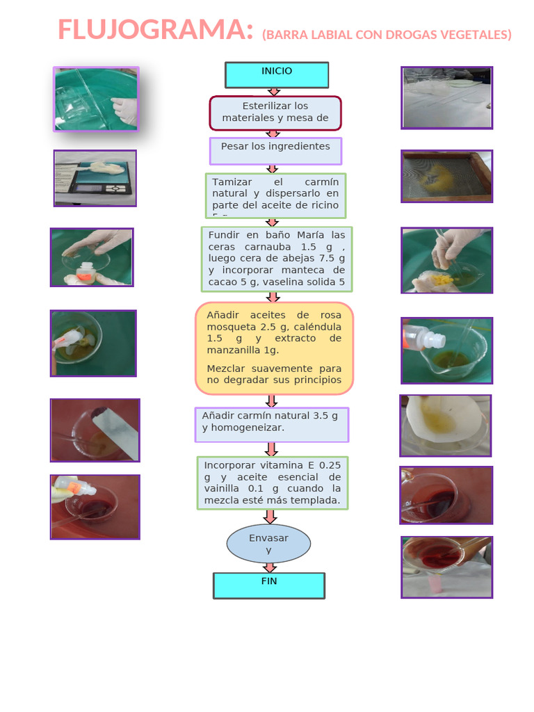 Barra Labial | PDF