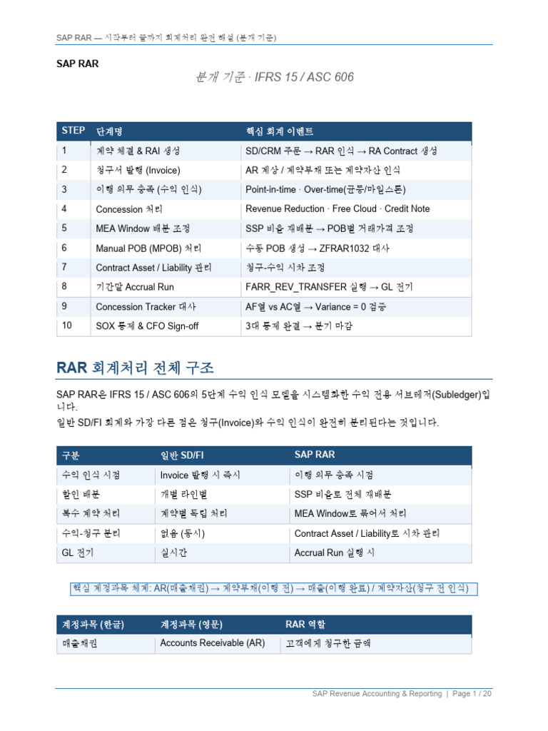 RAR_Accounting_Full | PDF