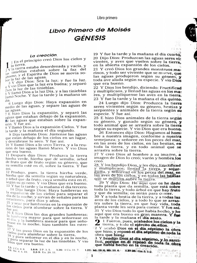 Primera Parte | PDF