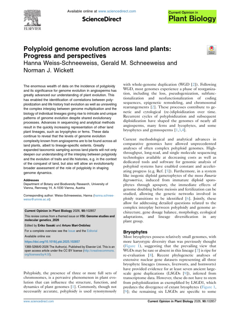 COPB26_Polyploids | PDF | Gene Duplication | Ploidy