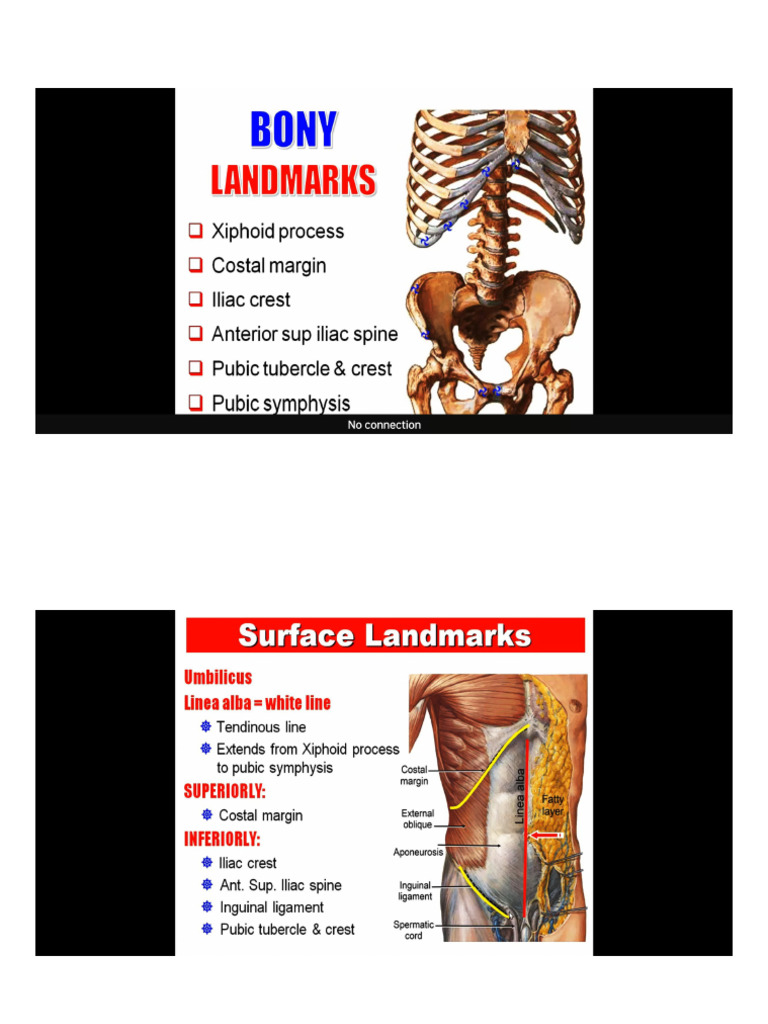0. anterior abdominal wall Dr adil bandok ️ (1) | PDF