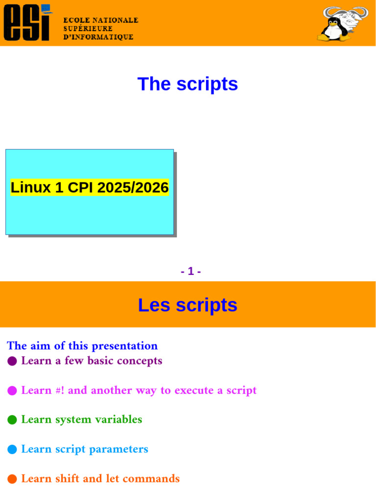 10 The Scripts | PDF | Parameter (Computer Programming) | Computer Science