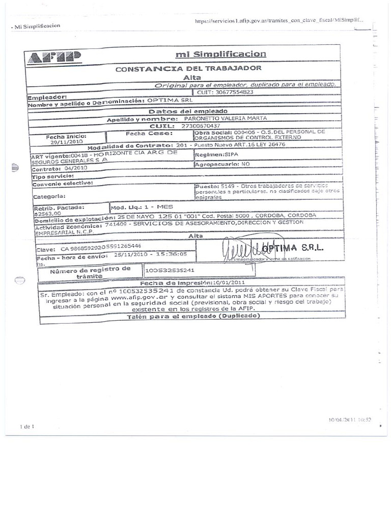 ALTA AFIP | PDF