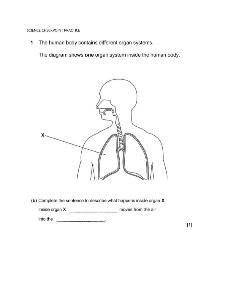 Science Checkpoint Practice (2) | PDF